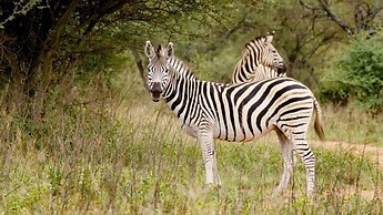 Finfoot Lake Reserve by Dream Resorts