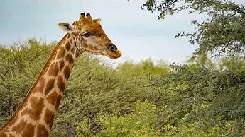 Finfoot Lake Reserve by Dream Resorts