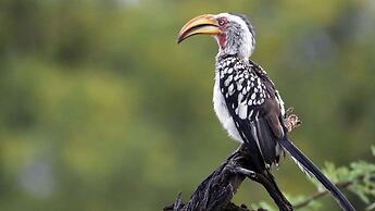 Finfoot Lake Reserve by Dream Resorts