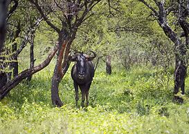 Finfoot Lake Reserve by Dream Resorts