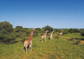 Finfoot Lake Reserve by Dream Resorts