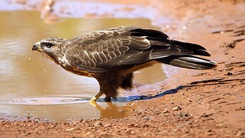 Finfoot Lake Reserve by Dream Resorts