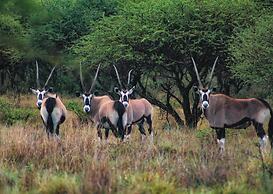 Finfoot Lake Reserve by Dream Resorts