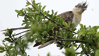 Finfoot Lake Reserve by Dream Resorts