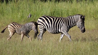 Finfoot Lake Reserve by Dream Resorts