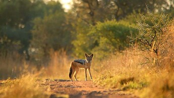 Finfoot Lake Reserve by Dream Resorts