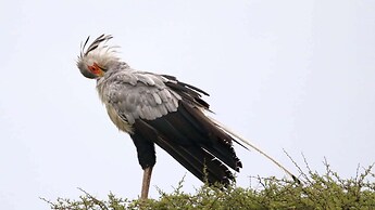 Finfoot Lake Reserve by Dream Resorts