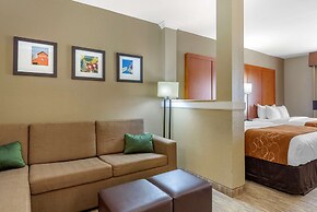 Comfort Suites University