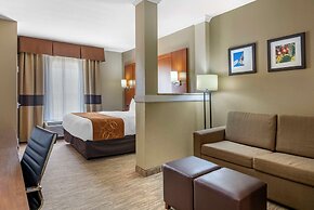 Comfort Suites University