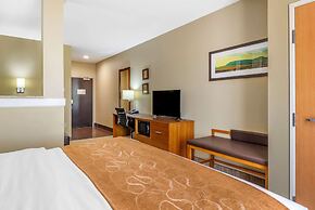 Comfort Suites University