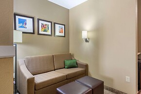 Comfort Suites University