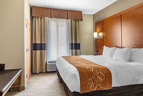 Comfort Suites University