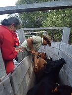 Estancia Los Platanos