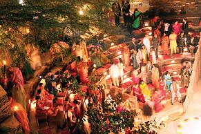 Neemrana Fort-Palace