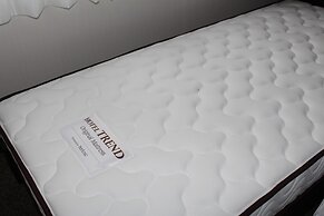 Hotel Trend Asakusa I