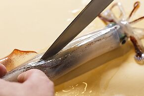 HAKODATE Umi no Kaze