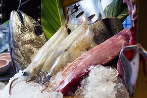 HAKODATE Umi no Kaze