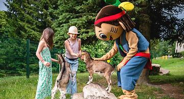 AHORN Waldhotel Altenberg