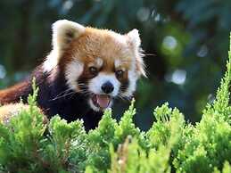 Yumihari No Oka Hotel