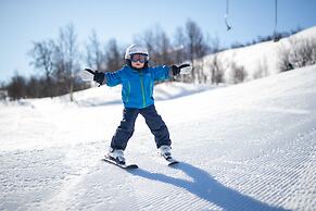 Ski Lodge Tänndalen