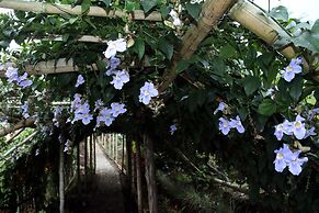Cabañas y Flores Finca Hotel