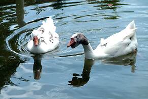 Cabañas y Flores Finca Hotel
