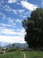 Cabañas y Flores Finca Hotel