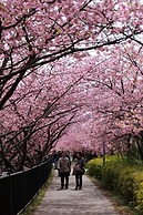 Izu Imaihama Tokyu Hotel