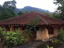Rainforest Edge