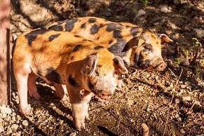 The Cabin at Sweetwater Lane Farm