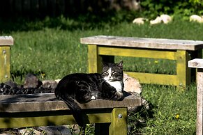 The Cabin at Sweetwater Lane Farm