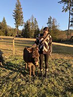 The Cabin at Sweetwater Lane Farm