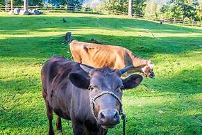 The Cabin at Sweetwater Lane Farm