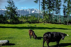 The Cabin at Sweetwater Lane Farm