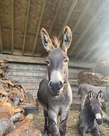 The Cabin at Sweetwater Lane Farm