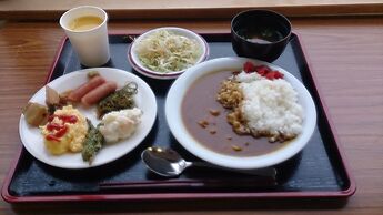 Hotel Select Inn Hamamatsu Ekimae