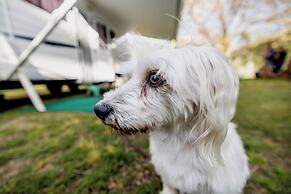 BIG4 Manning Point Holiday Park