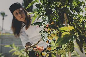 Latchi Escape Hotel & Suites