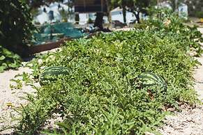 Latchi Escape Hotel & Suites