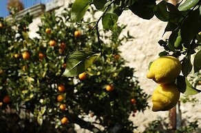 Agriturismo Baglio San Nicola