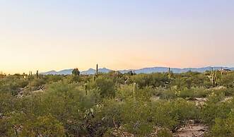 Saguaro Serenity By Signature Vacation Rentals