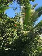 Hilo Bay Oceanfront B&B