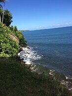 Hilo Bay Oceanfront B&B