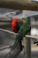 Inglewood Motel and Caravan Park