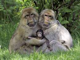 The Dog and Doublet Inn