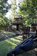 The Thatch House Hermanus