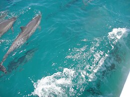 Pousada Martins e Cia