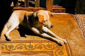 Pousada d'óleo de Guignard