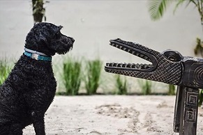 Ten North Tamarindo Beach Hotel