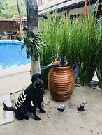 Ten North Tamarindo Beach Hotel